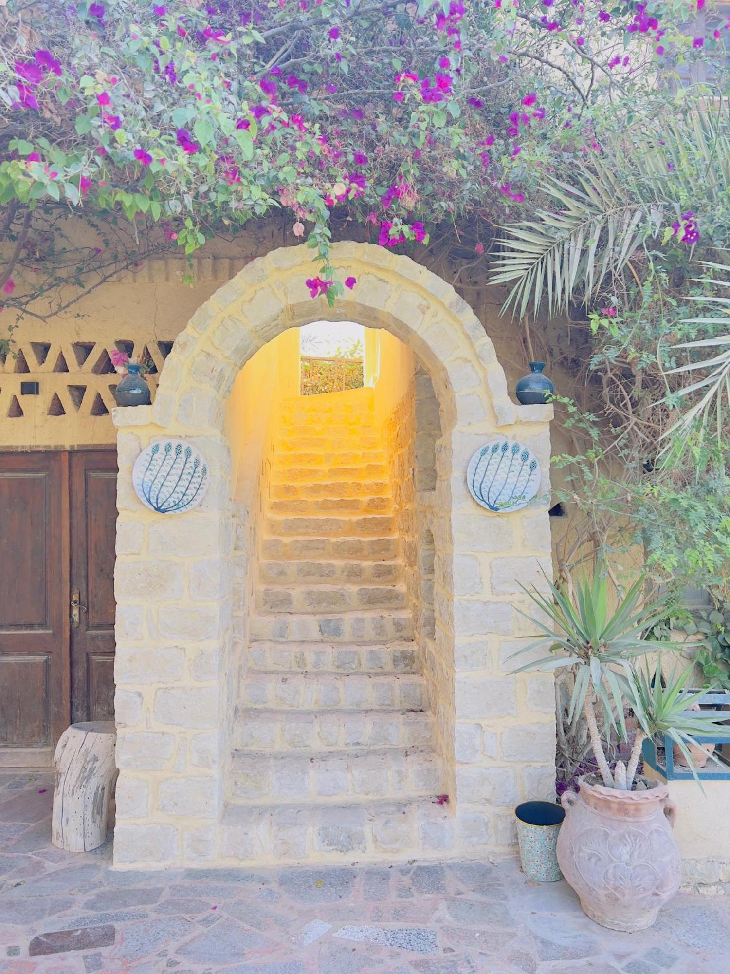 Zad Elmosafer Villa - Tunis Village Экстерьер фото