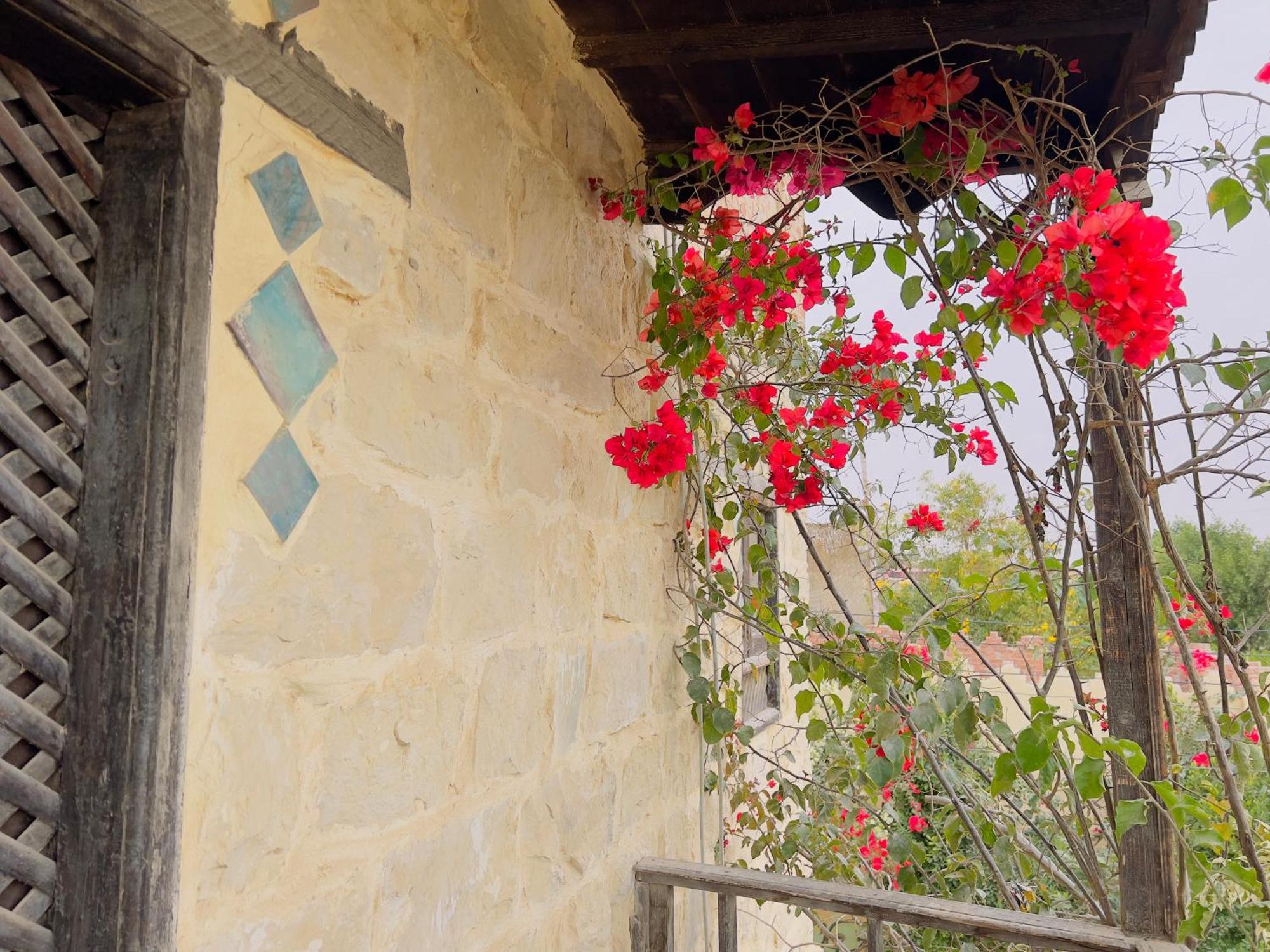 Zad Elmosafer Villa - Tunis Village Экстерьер фото